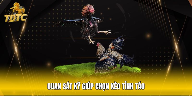 Quan sát kỹ giúp chọn kèo tỉnh táo